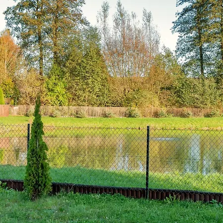 Villa Pstragowe Zacisze Korczyna  Exterior foto
